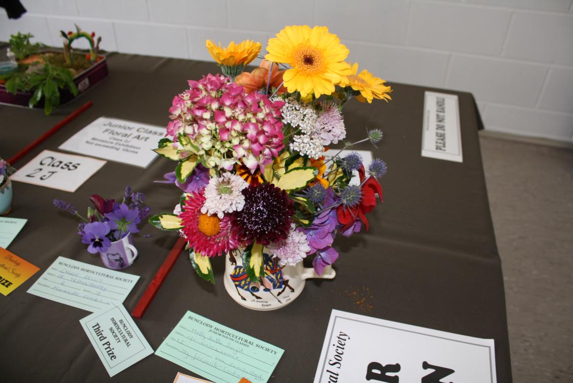 ../Images/64th Bunclody Horticultural Show 2015 - 26.jpg